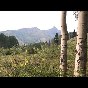 Meet your Posher, Tracy